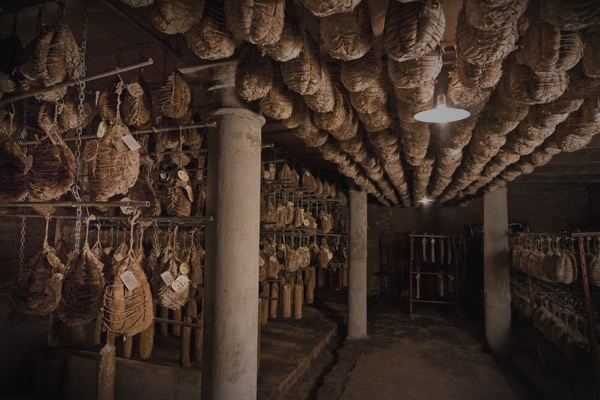 Ð­ÐºÑÐºÑÑÑÐ¸Ð¸